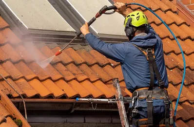 Démoussage et hydrofuge de toiture à Revonnas